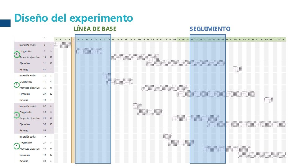 Diseño del experimento LÍNEA DE BASE SEGUIMIENTO 42 