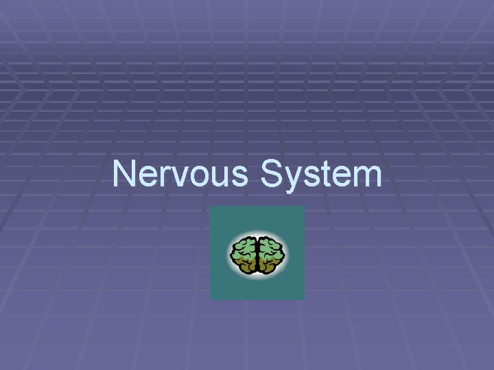 Nervous System 