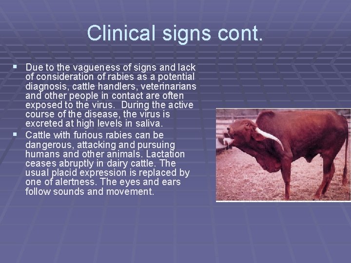 Clinical signs cont. § Due to the vagueness of signs and lack of consideration