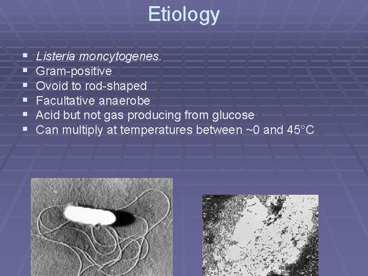 Etiology § § § Listeria moncytogenes. Gram-positive Ovoid to rod-shaped Facultative anaerobe Acid but