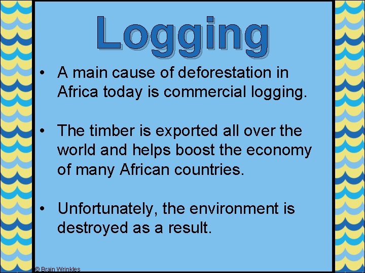 Logging • A main cause of deforestation in Africa today is commercial logging. •