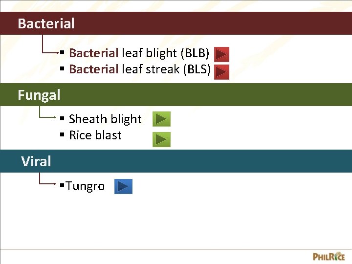 DISEASES OF RICE and their MANAGEMENT Part 1