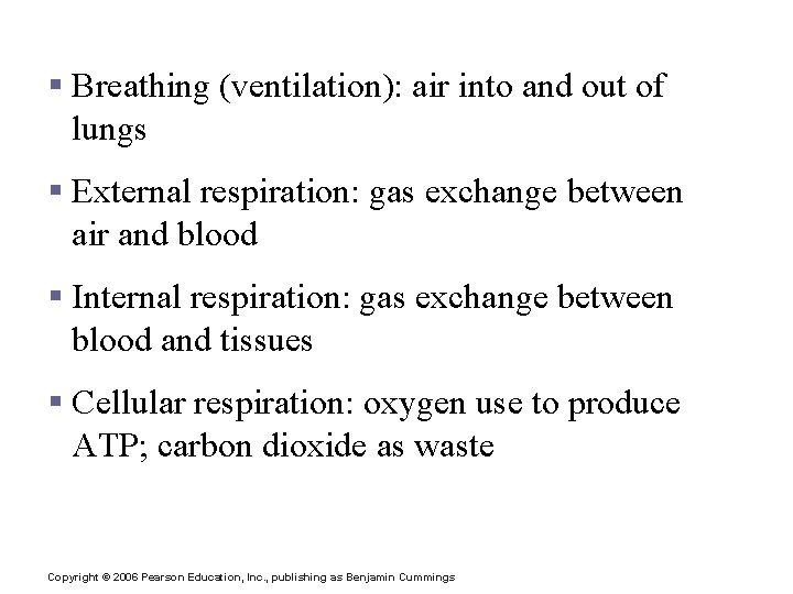 Respiration Processes § Breathing (ventilation): air into and out of lungs § External respiration: