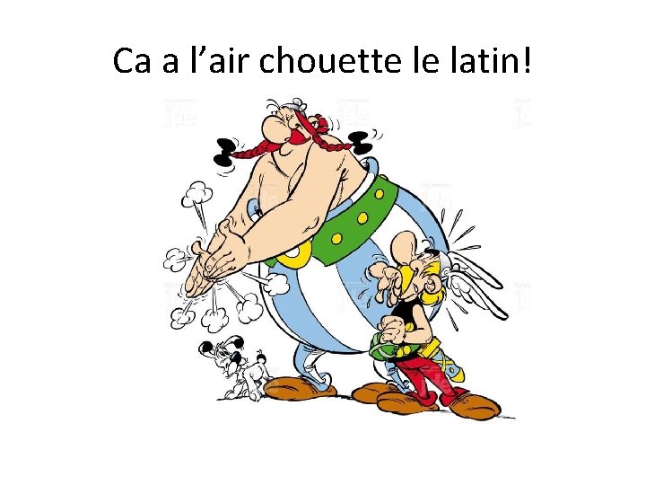 Ca a l’air chouette le latin! 