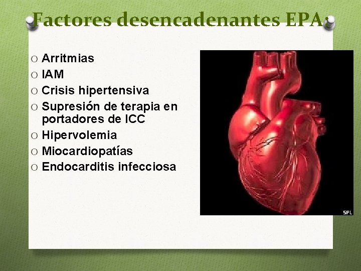 Factores desencadenantes EPA: O Arritmias O IAM O Crisis hipertensiva O Supresión de terapia