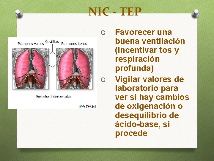 NIC - TEP O O Favorecer una buena ventilación (incentivar tos y respiración profunda)