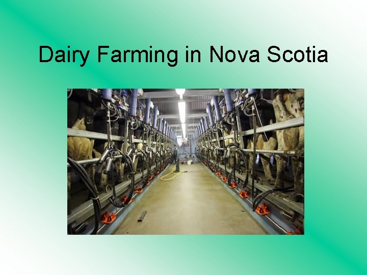 Dairy Farming in Nova Scotia 