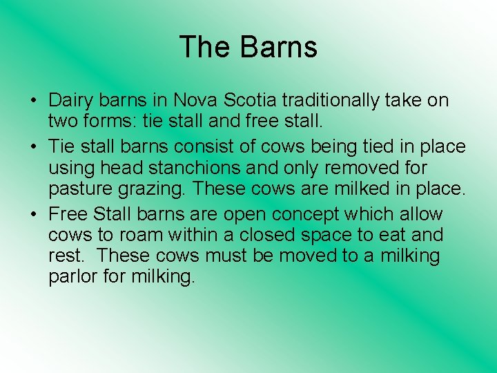 The Barns • Dairy barns in Nova Scotia traditionally take on two forms: tie