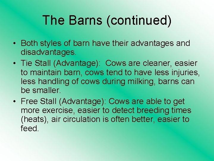 The Barns (continued) • Both styles of barn have their advantages and disadvantages. •