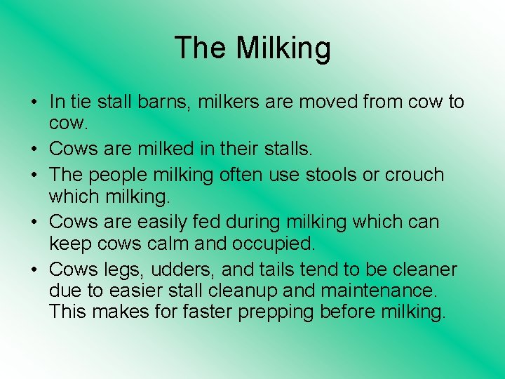 The Milking • In tie stall barns, milkers are moved from cow to cow.