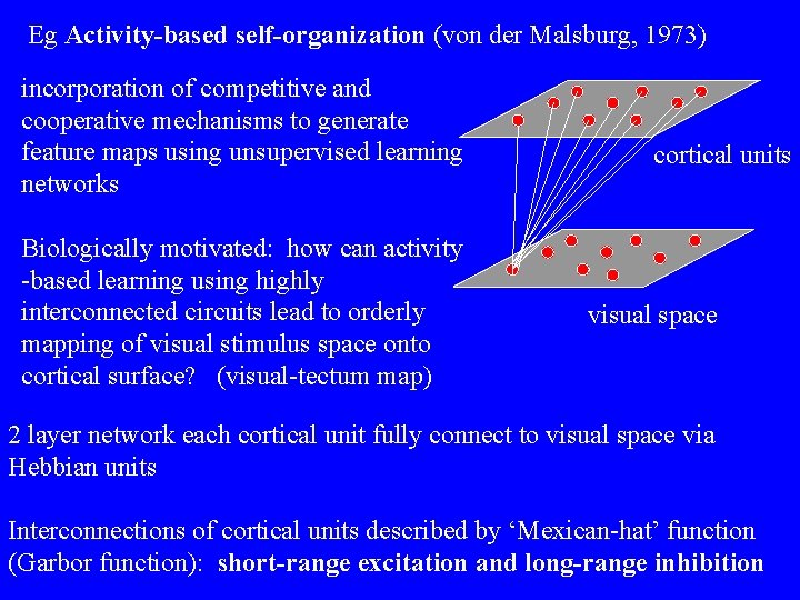 Eg Activity-based self-organization (von der Malsburg, 1973) incorporation of competitive and cooperative mechanisms to