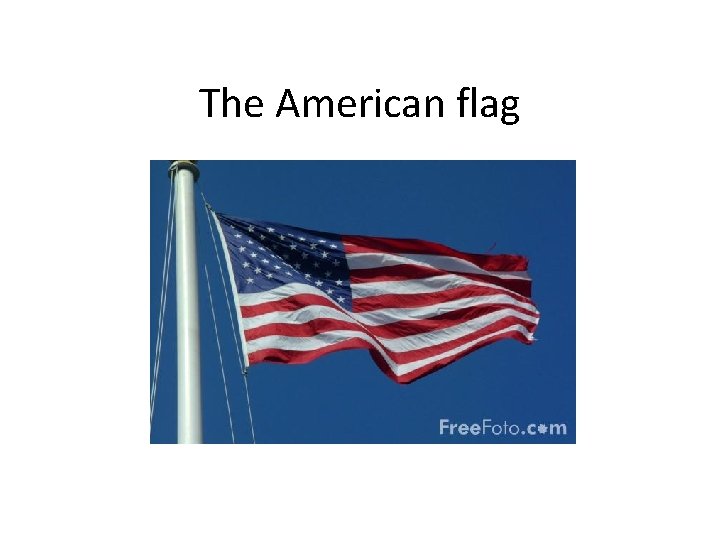 The American flag 