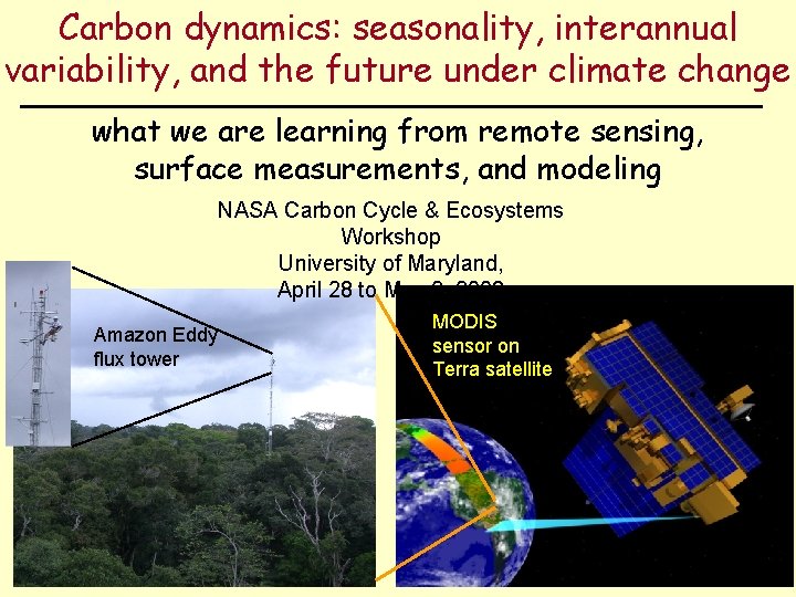 Carbon dynamics: seasonality, interannual variability, and the future under climate change what we are