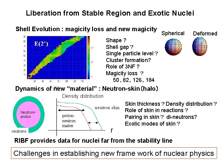 Liberation from Stable Region and Exotic Nuclei Shell Evolution : magicity loss and new