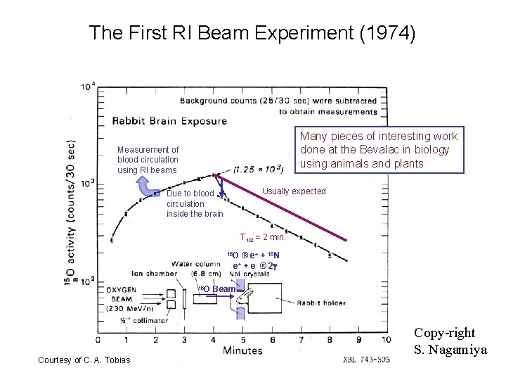 The First RI Beam Experiment (1974) Many pieces of interesting work done at the