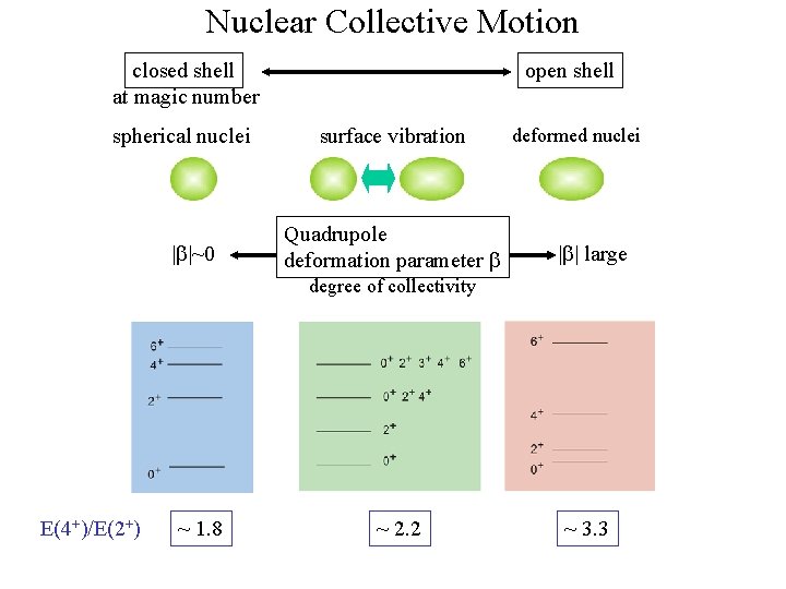 Nuclear Collective Motion closed shell at magic number spherical nuclei |b|~0 open shell surface