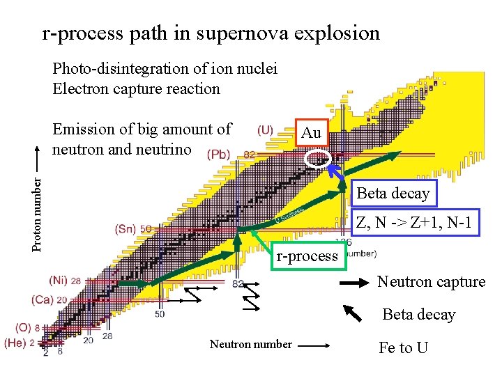 r-process path in supernova explosion Photo-disintegration of ion nuclei Electron capture reaction Proton number