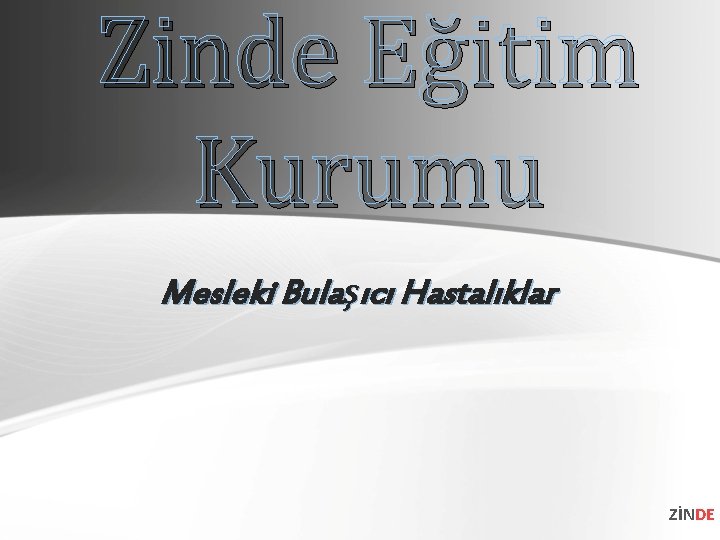 Zinde Eğitim Kurumu Mesleki Bulaşıcı Hastalıklar ZİNDE 