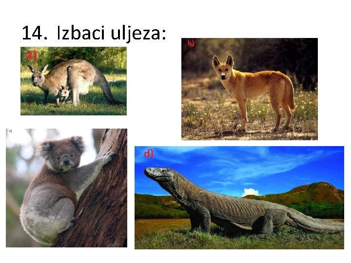 14. Izbaci uljeza: 