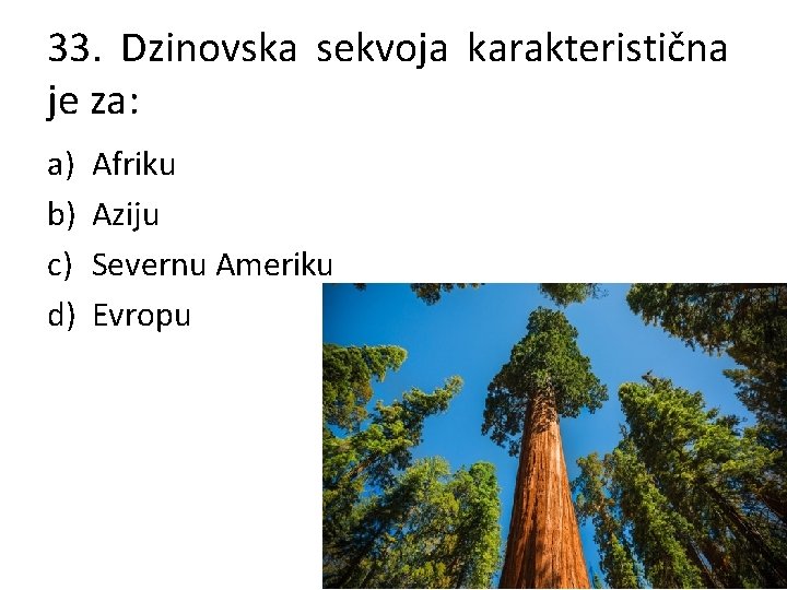 33. Dzinovska sekvoja karakteristična je za: a) b) c) d) Afriku Aziju Severnu Ameriku