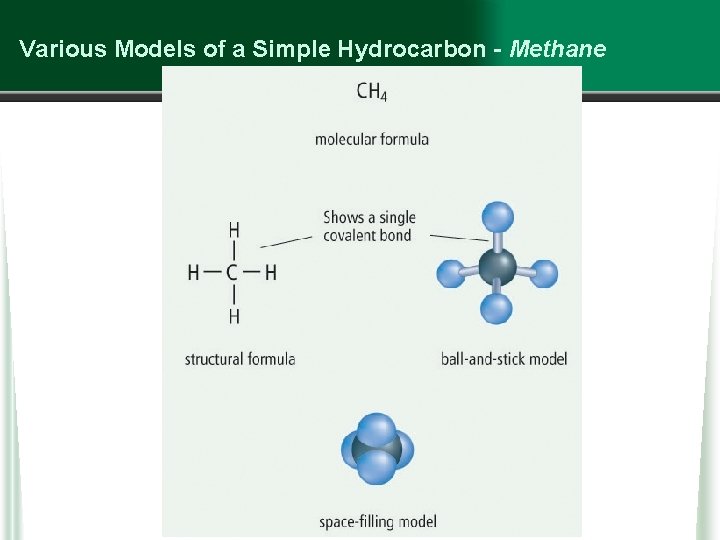 Various Models of a Simple Hydrocarbon - Methane 