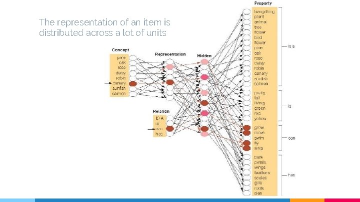 The representation of an item is distributed across a lot of units 