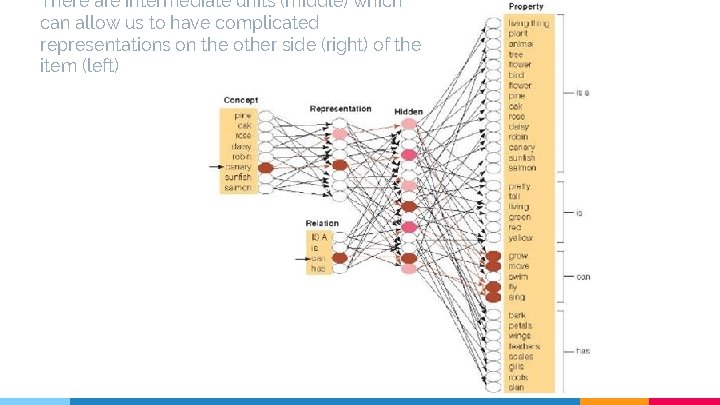 There are intermediate units (middle) which can allow us to have complicated representations on