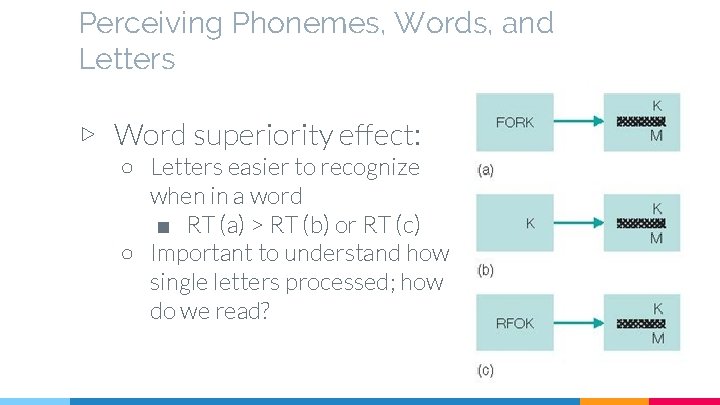 Perceiving Phonemes, Words, and Letters ▷ Word superiority effect: ○ Letters easier to recognize