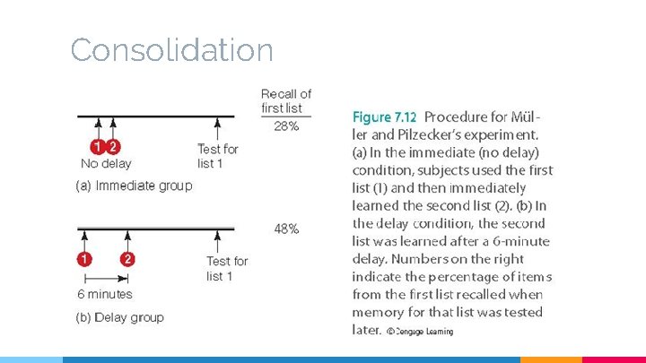 Consolidation 