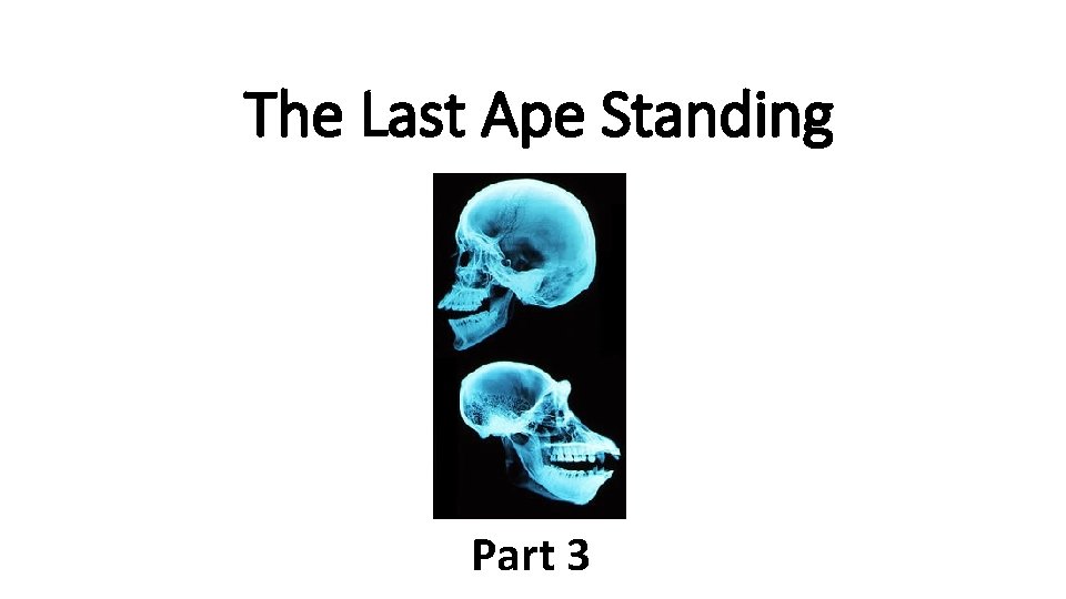 The Last Ape Standing Part 3 