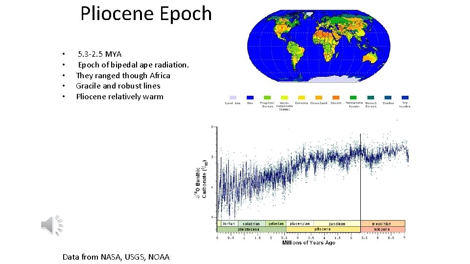 Pliocene Epoch • • • 5. 3 -2. 5 MYA Epoch of bipedal ape