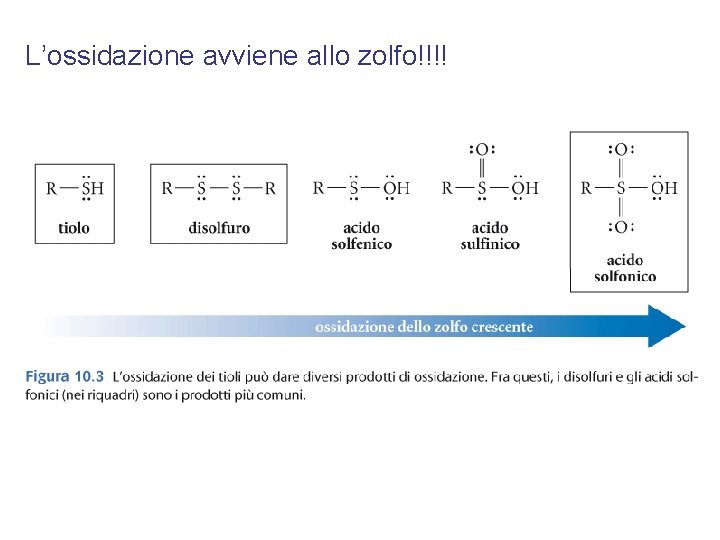 L’ossidazione avviene allo zolfo!!!! 