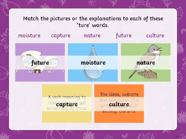 Match the pictures or the explanations to each of these ‘ture’ words. moisture capture