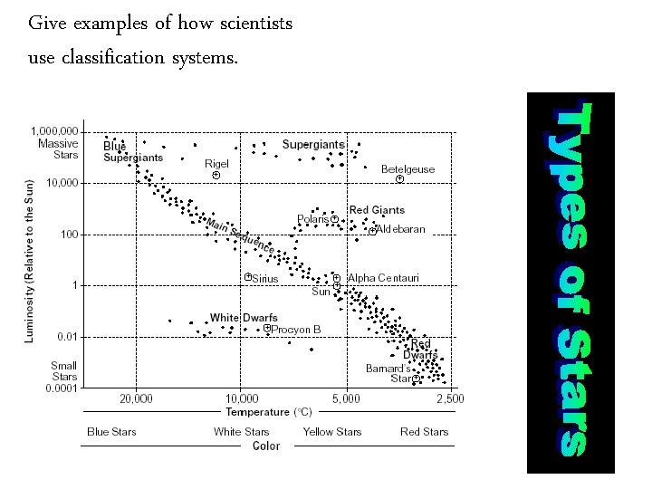 Give examples of how scientists use classification systems. 