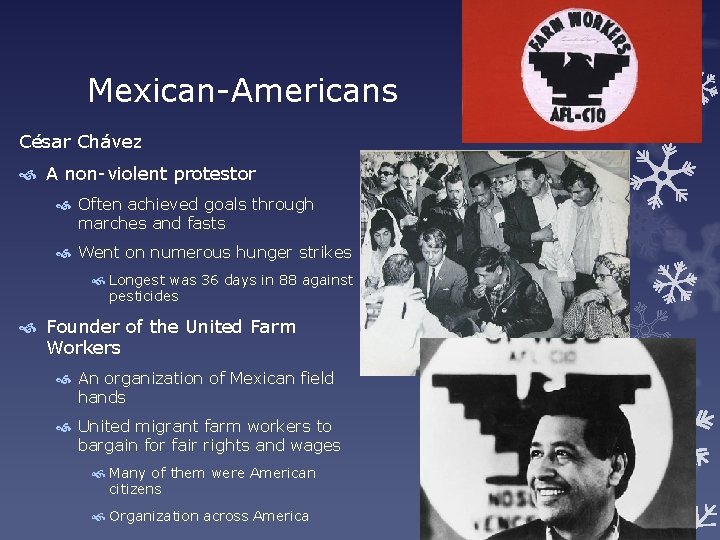 Mexican-Americans César Chávez A non-violent protestor Often achieved goals through marches and fasts Went