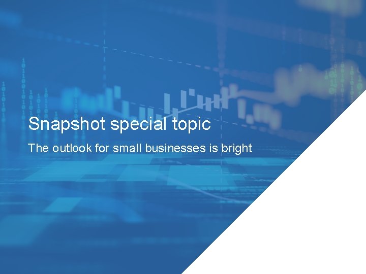 Snapshot special topic The outlook for small businesses is bright 