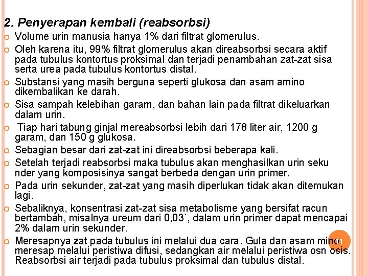 2. Penyerapan kembali (reabsorbsi) Volume urin manusia hanya 1% dari filtrat glomerulus. Oleh karena