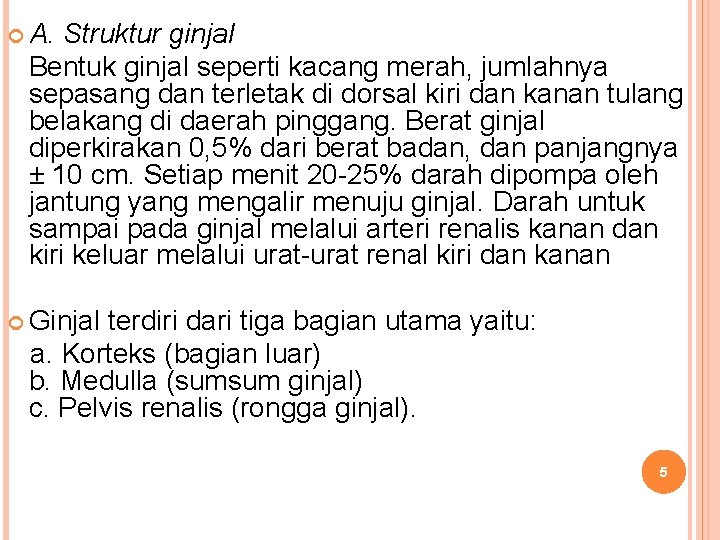  A. Struktur ginjal Bentuk ginjal seperti kacang merah, jumlahnya sepasang dan terletak di