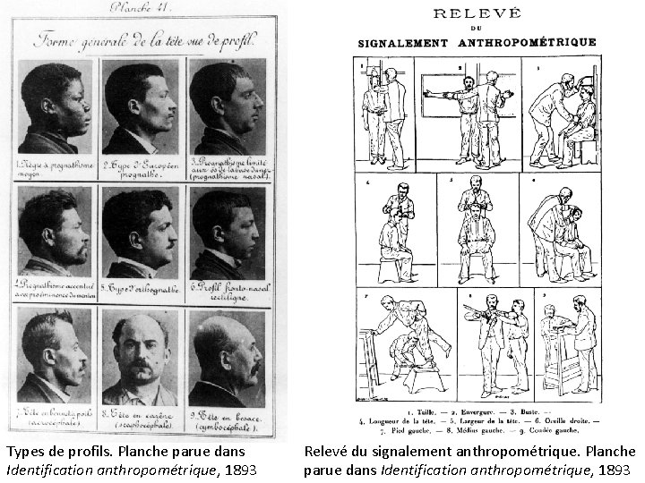 Types de profils. Planche parue dans Identification anthropométrique, 1893 Relevé du signalement anthropométrique. Planche