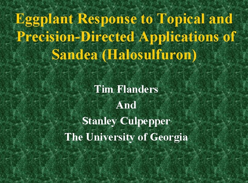 Eggplant Response to Topical and Precision-Directed Applications of Sandea (Halosulfuron) Tim Flanders And Stanley