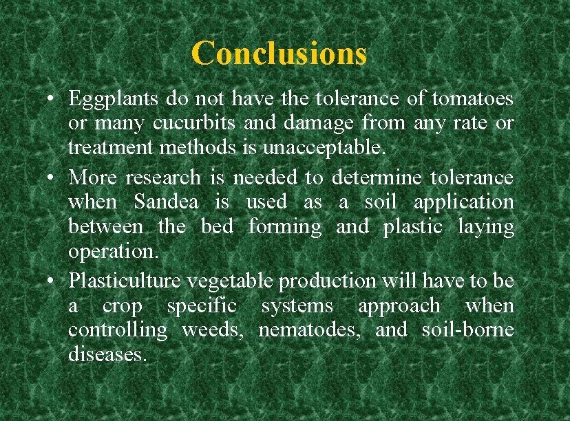 Conclusions • Eggplants do not have the tolerance of tomatoes or many cucurbits and