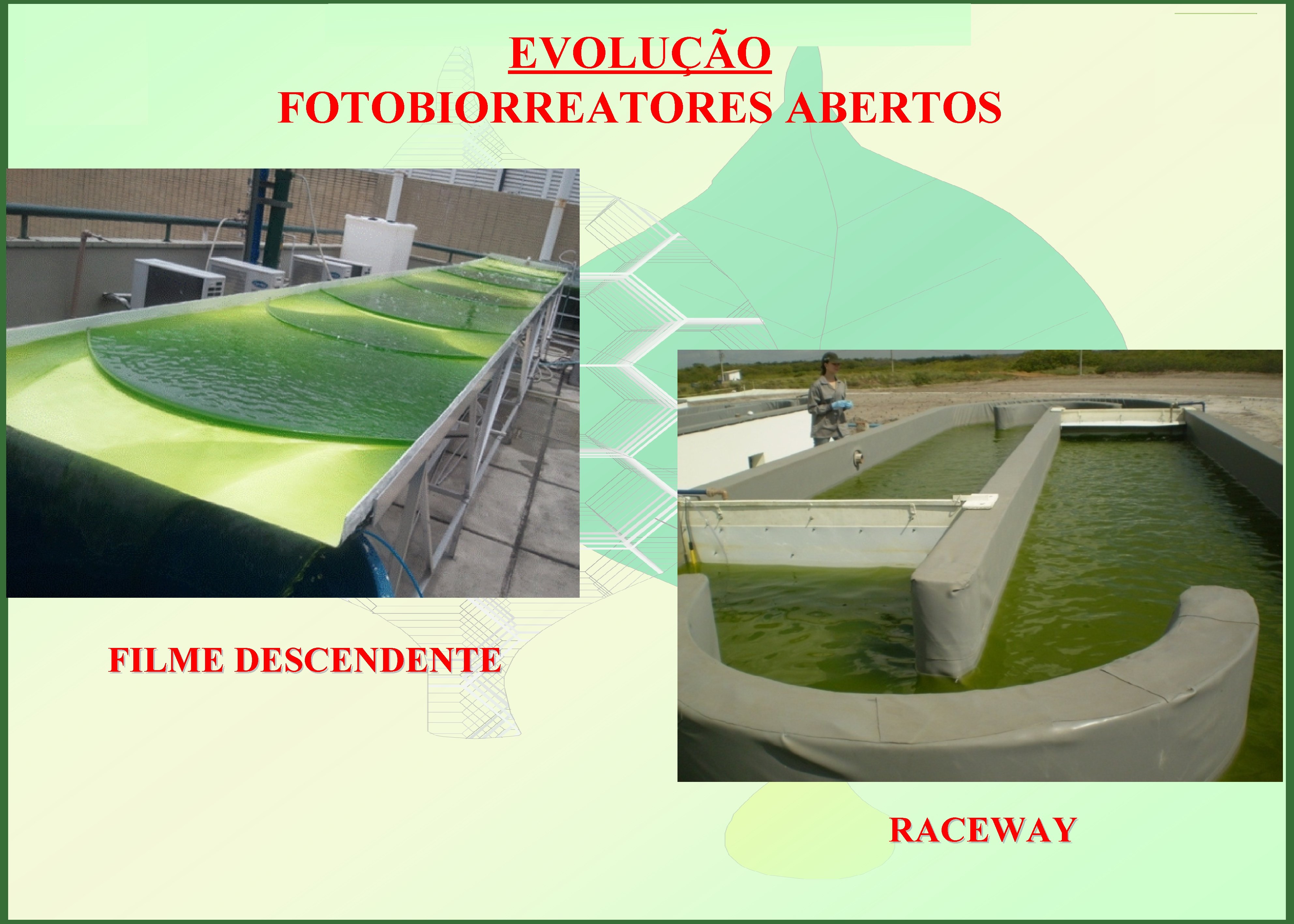 UNIVERSIDADE FEDERAL DO RIO DE JANEIRO ESCOLA DE QUÍMICA / LABORATÓRIO DE TECNOLOGIAS VERDES