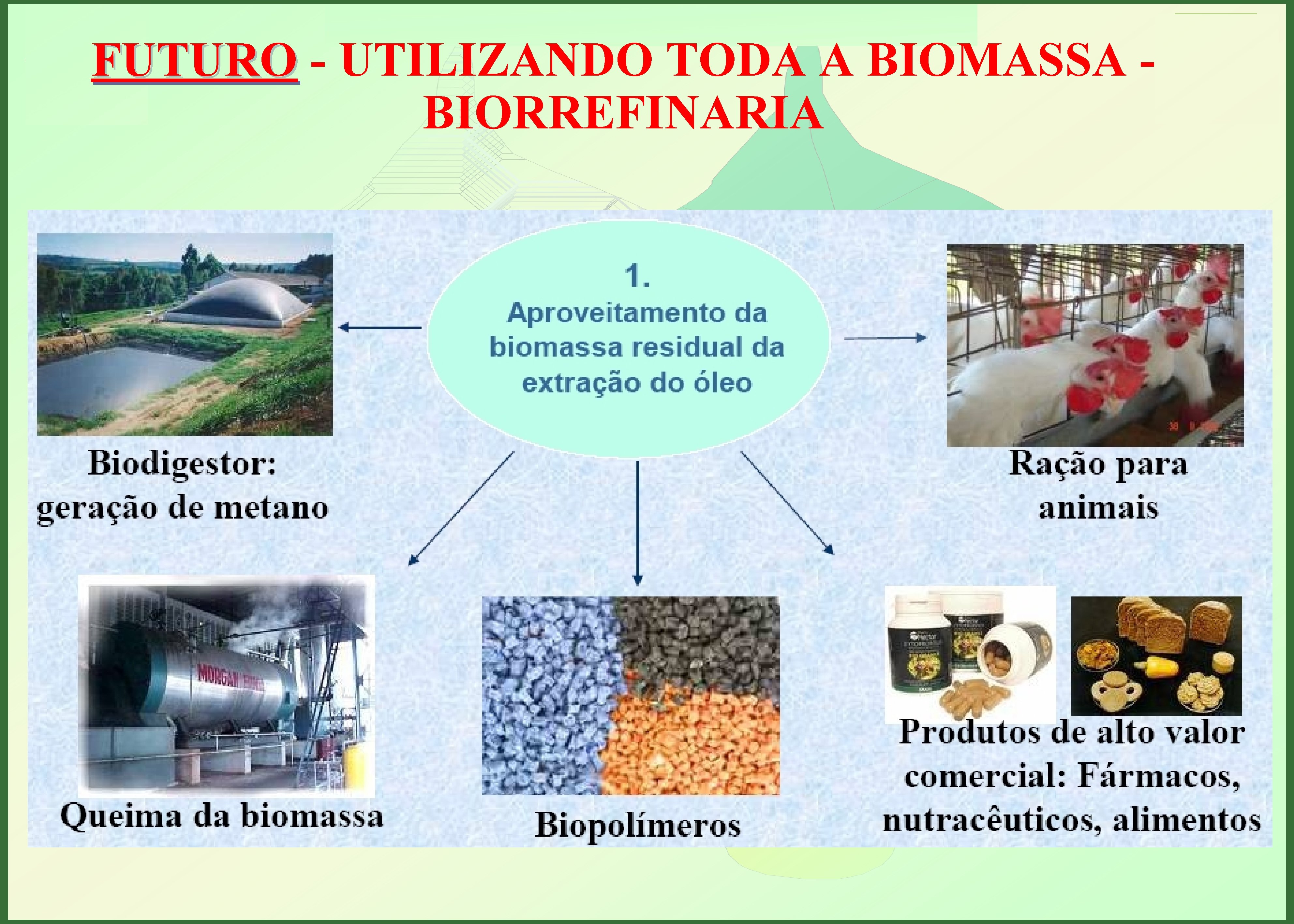 UNIVERSIDADE FEDERAL DO RIO DE JANEIRO ESCOLA DE QUÍMICA / LABORATÓRIO DE TECNOLOGIAS VERDES