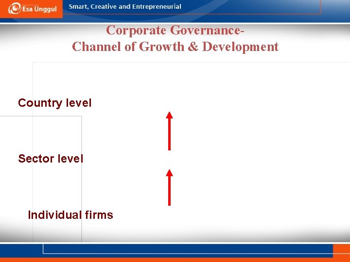 Corporate Governance. Channel of Growth & Development Country level Sector level Individual firms 