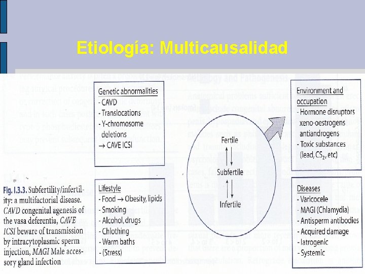 Etiología: Multicausalidad 