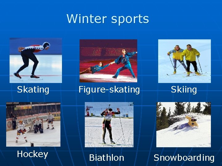 Winter sports Skating Hockey Figure-skating Biathlon Skiing Snowboarding 