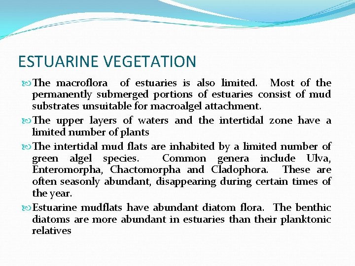 ESTUARINE VEGETATION The macroflora of estuaries is also limited. Most of the permanently submerged