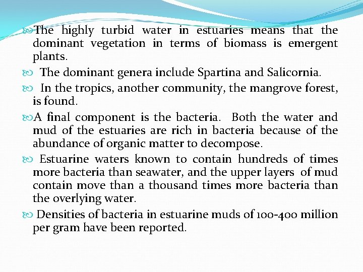  The highly turbid water in estuaries means that the dominant vegetation in terms