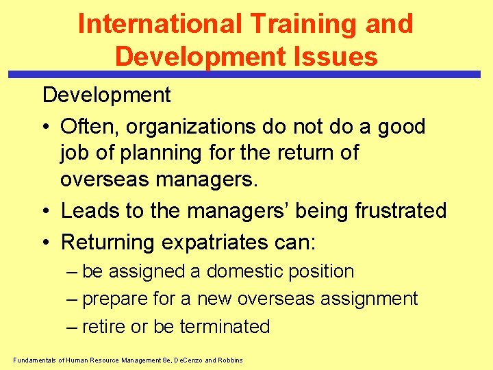 International Training and Development Issues Development • Often, organizations do not do a good