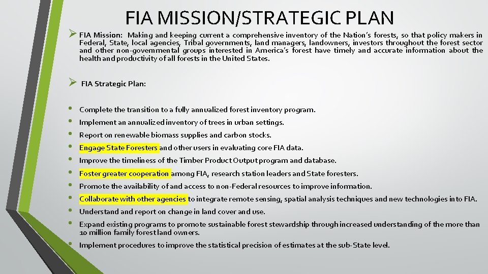 Ø FIA Mission: FIA MISSION/STRATEGIC PLAN Making and keeping current a comprehensive inventory of